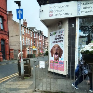 Street poster showing a picture of a dog